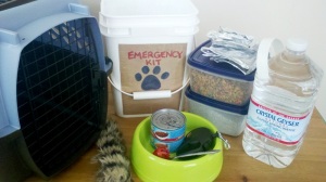 Pet Emergency Kit